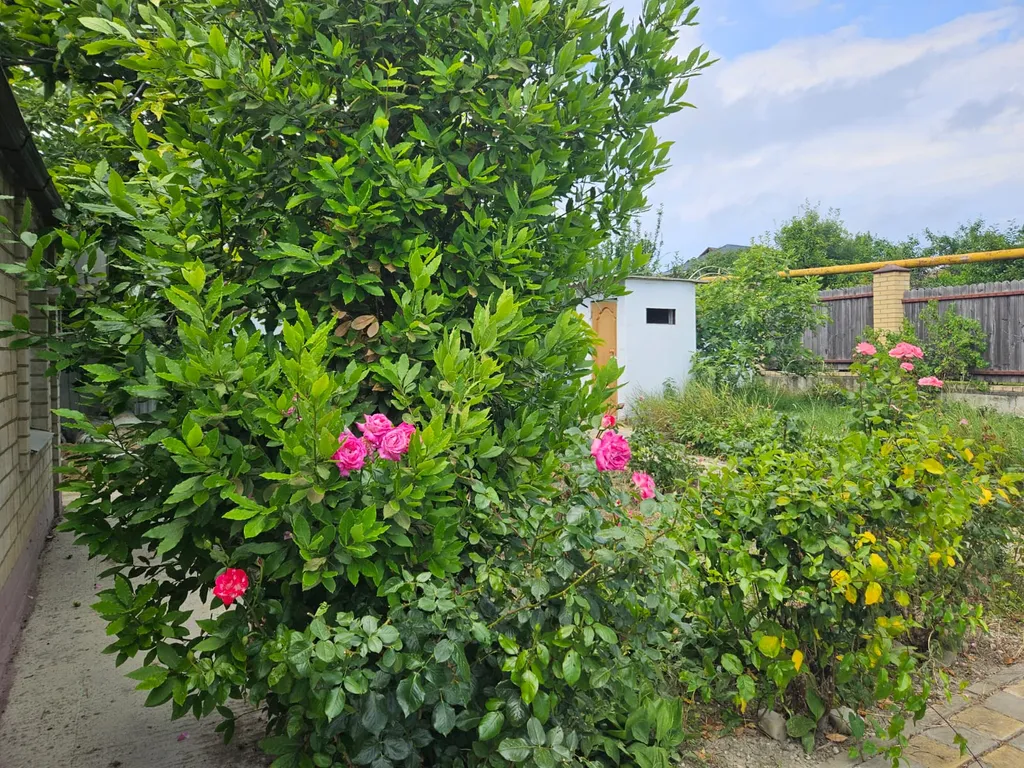 Дом в долине вязов