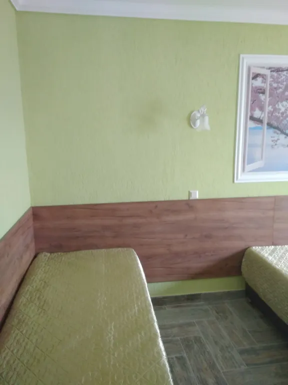 Квартира Квартира Четырехместные номера Зима, Весна, Лето, Осень — Витино