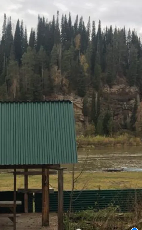 Кедровый дом на берегу реки Бия с видом на реку