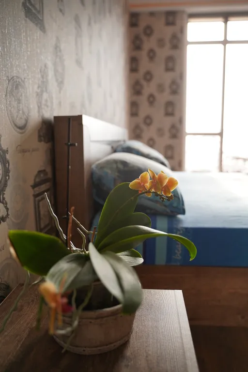 Квартира Квартира с великолепным видом на всю Геленджикскую бухту — Геленджик