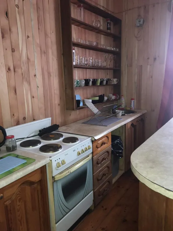 Кедровый дом на берегу реки Бия с видом на реку