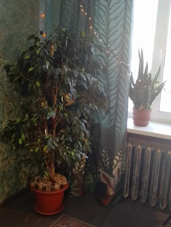 Квартира Уютная квартира — Ярославль