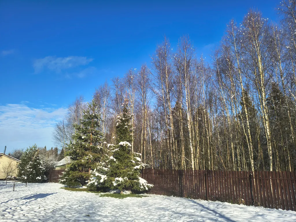 Русская усадьба с баней со швейцарским флёром