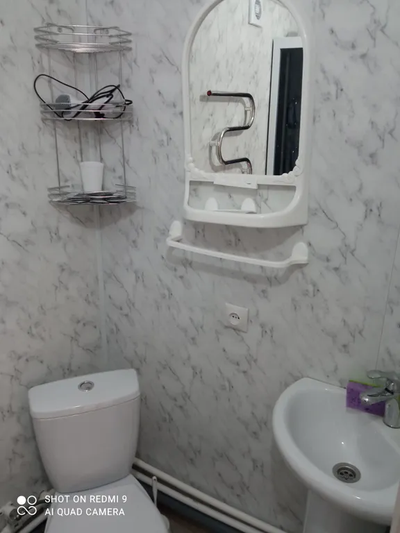 Семейный отдых  на окраине соснового леса