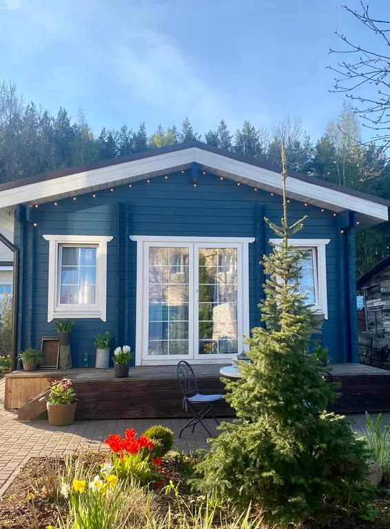 Коттедж Синий домик с банькой — Санкт-Петербург