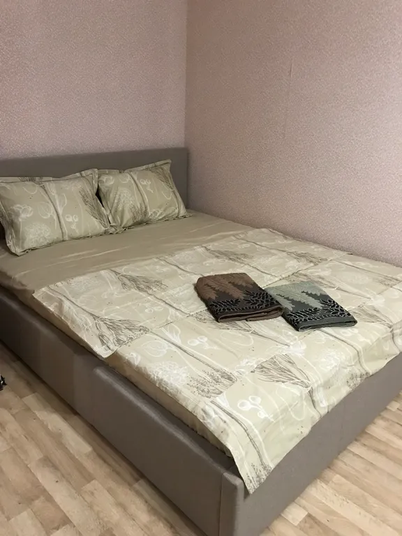 Уютная квартира, рядом УДГУ, Олимпиец, тир, арена, радиозавод, военкомат — аренда посуточно в Ижевск