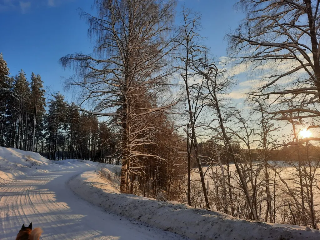 Уединенный комфортный дом-баня в сосновом бору