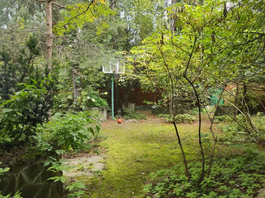 Коттедж Дом с тропическим бассейном, сауной и каминами — Московский