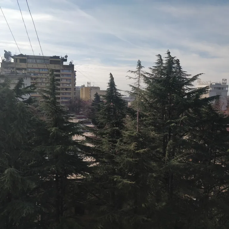 Квартира Уютная квартира в центре Сочи с современным ремонтом в центре — Сочи