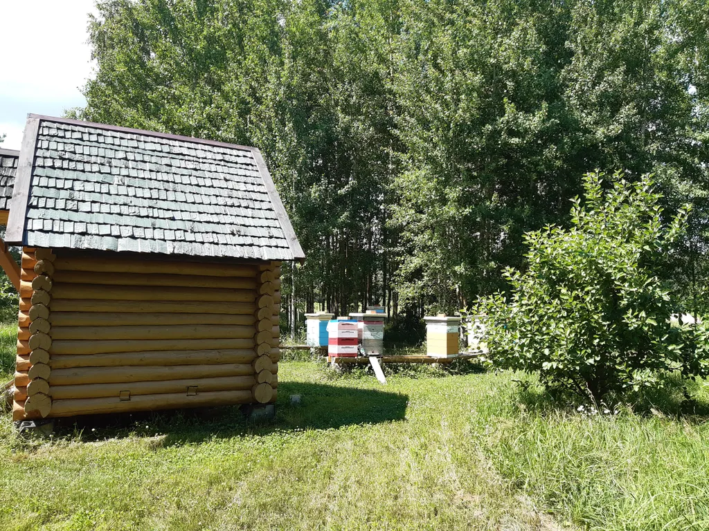 Дом в деревне