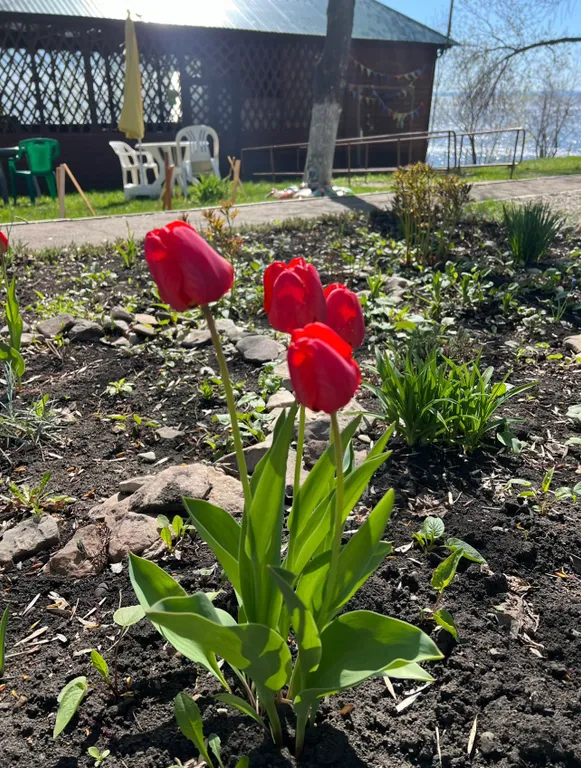 Уютный дом у реки с мангалом