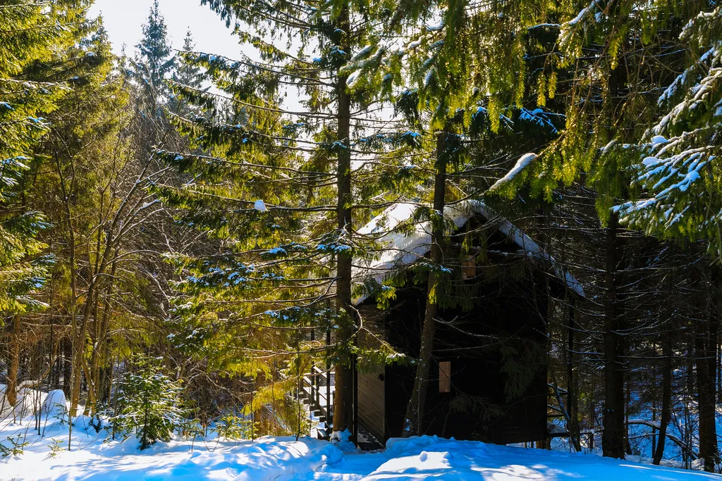 Дом на Опушке