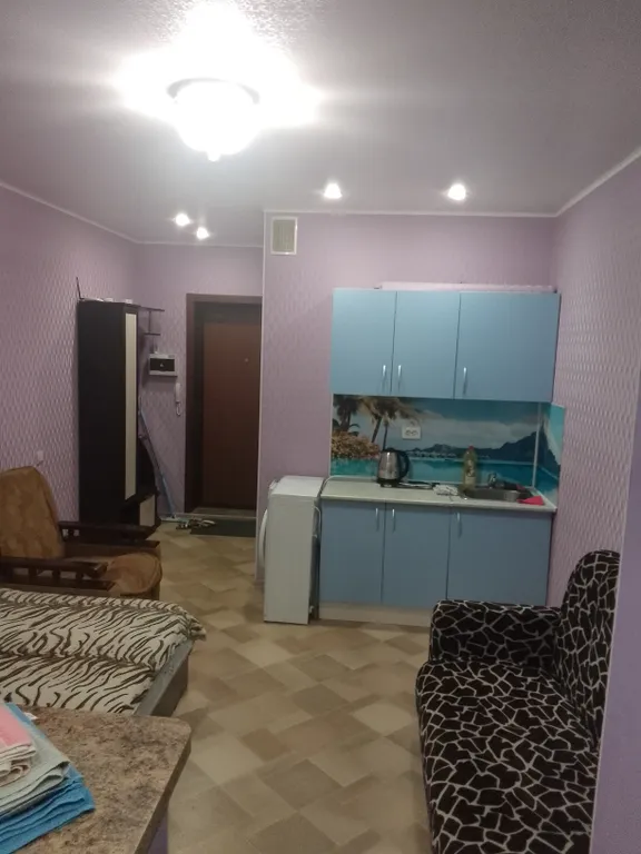 Уютная студия в городе Спутник