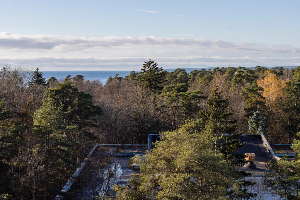 Видовая студия на бассейн и лес 811