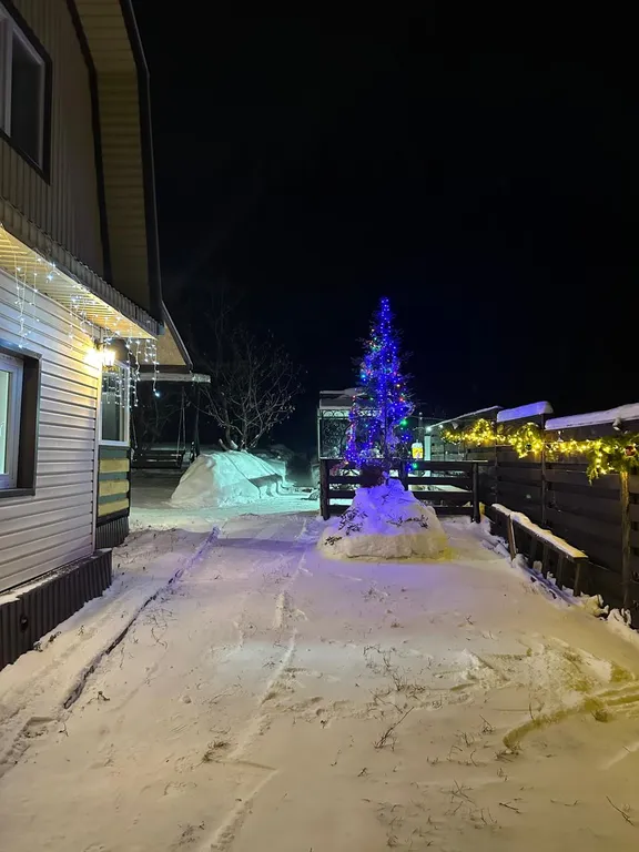 Домик на опушке леса