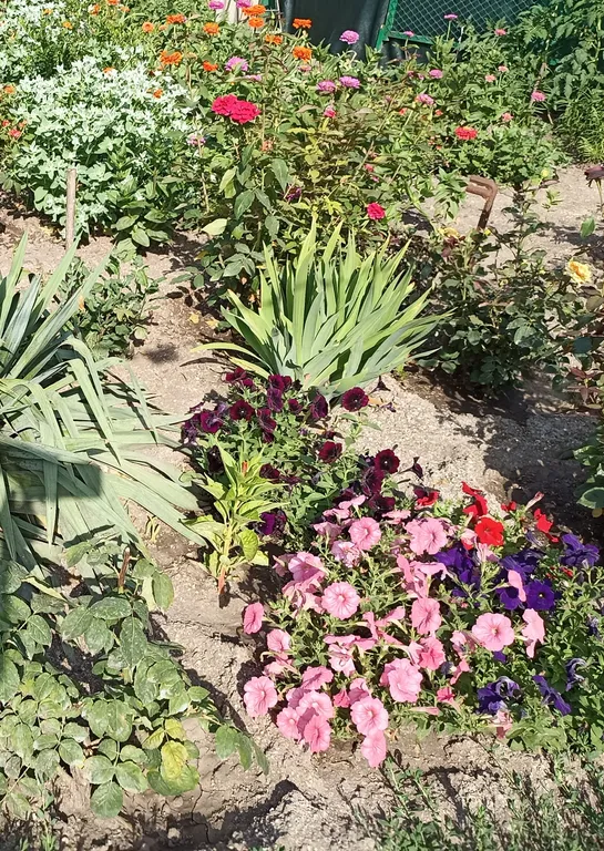 Дом для летнего отдыха