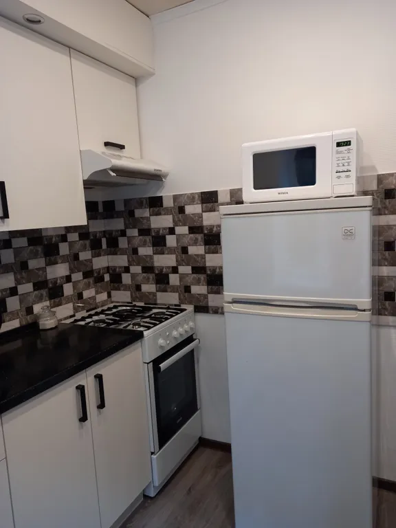 Сканди апартамент в самом центре города