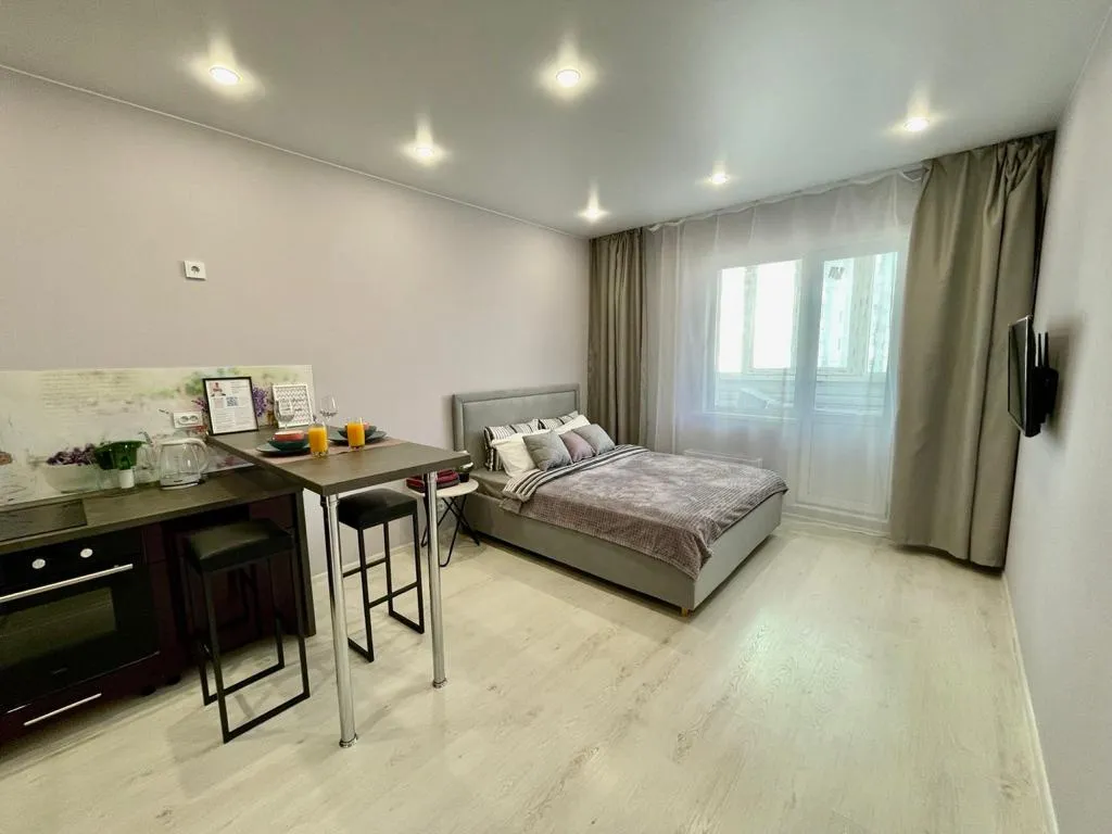 Большая, уютная студия