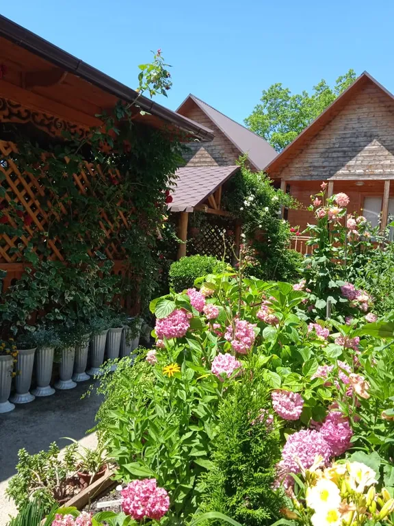 Квартира Комната — Гагра