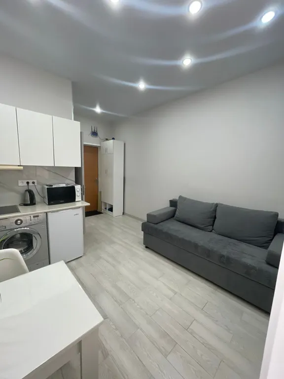 Студия в тихой гавани