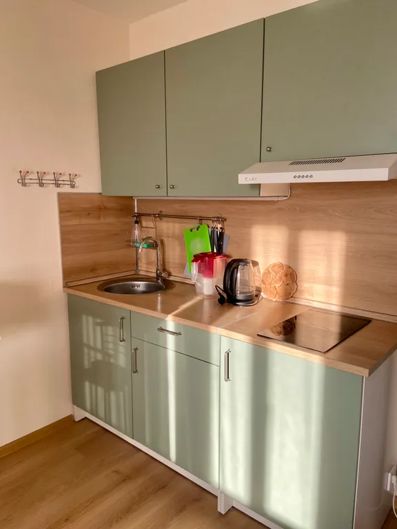 Квартира Уютная квартира студию рядом с НИИ Петрова — Песочный