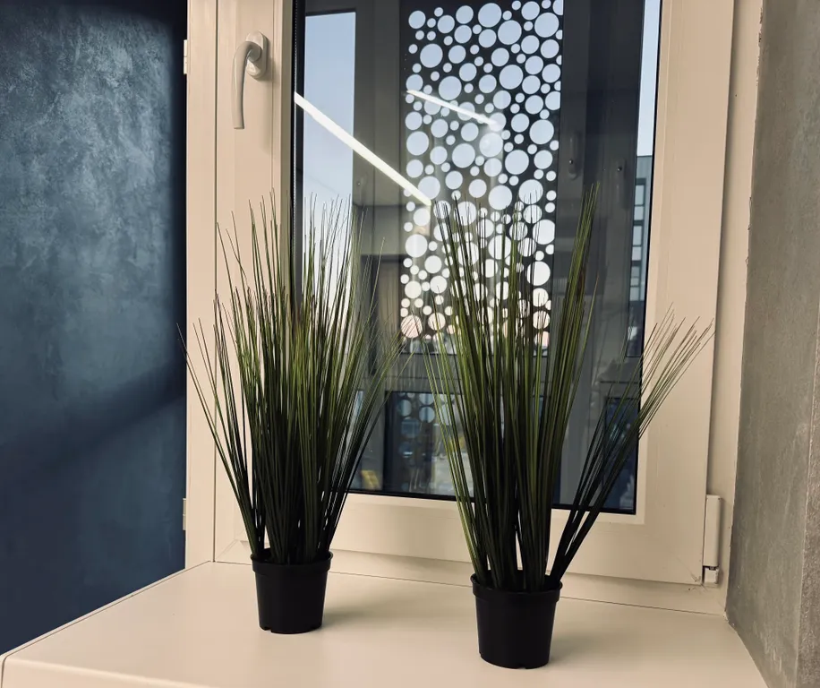 Новая студия в центре города