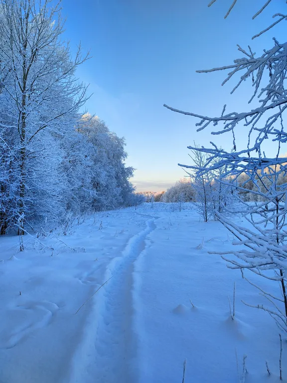 Чилим на крыше