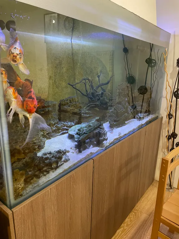 Квартира 1-комнатная Квартира — Лазаревское