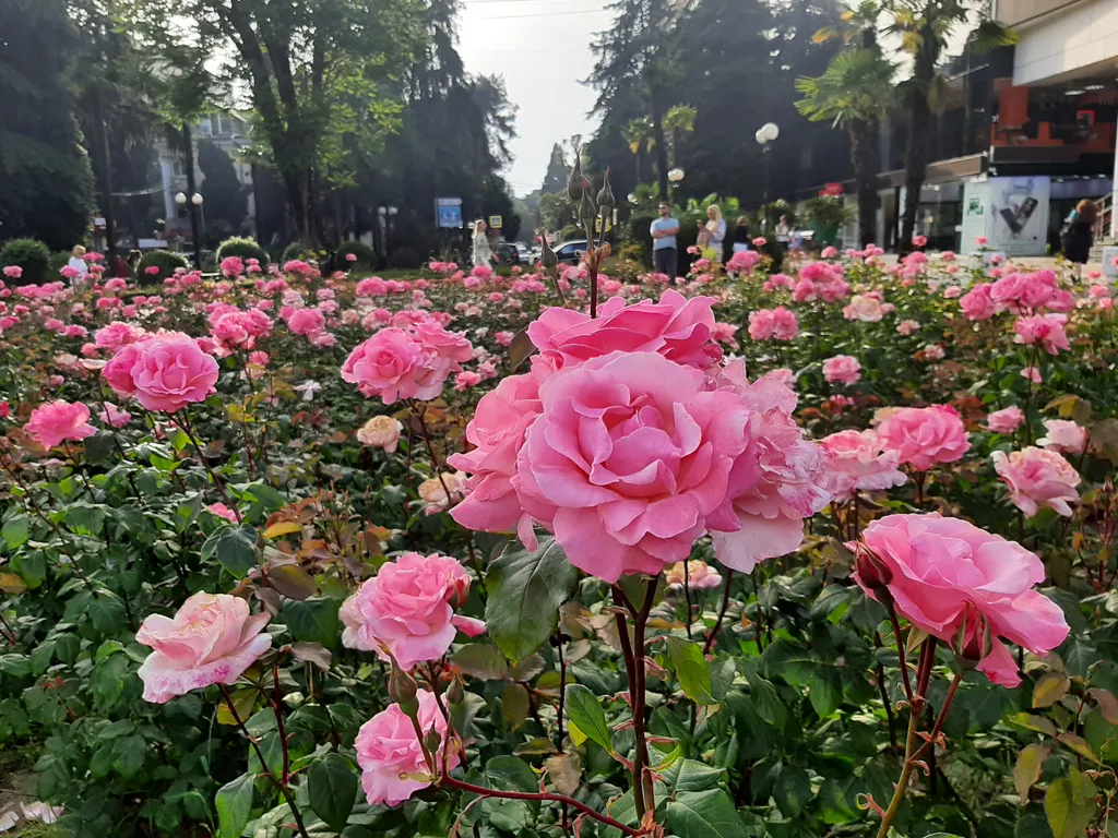 Квартира Стильная однокомнатная квартира в самом центре Каса Верде — Сочи