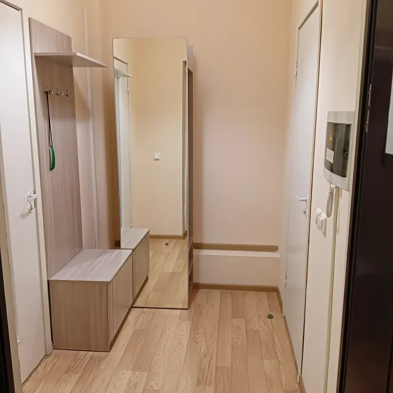 Квартира в центре города с видом на Покровскую башню и реку Великую