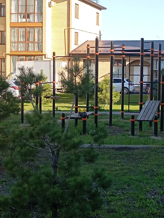 Квартира с цветами