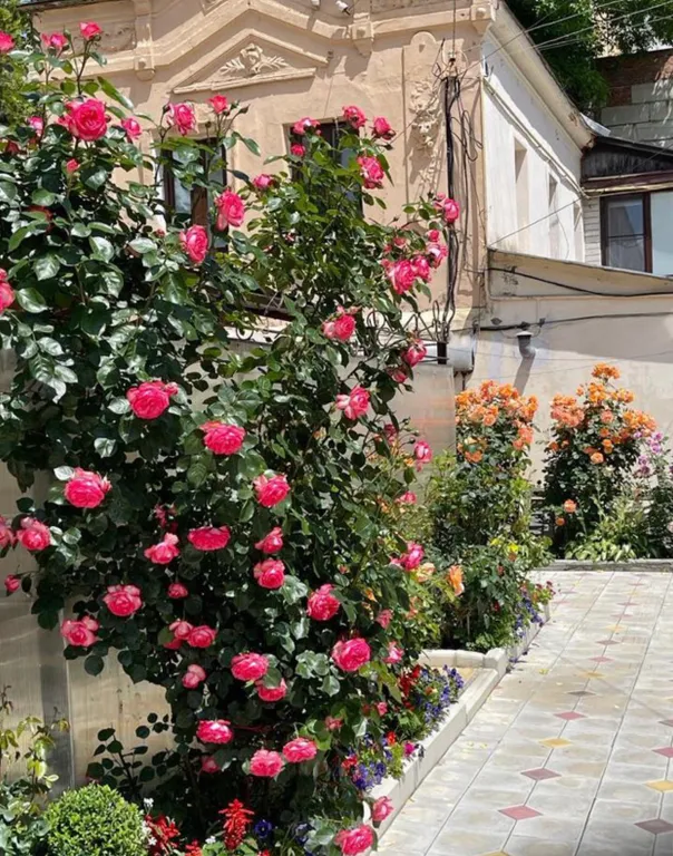 Рядом с парком и минеральной водой