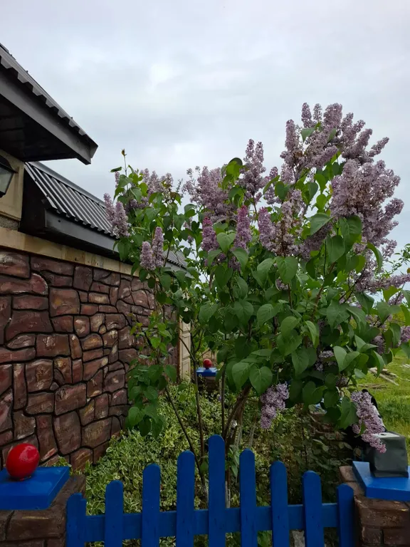 Райский уголок