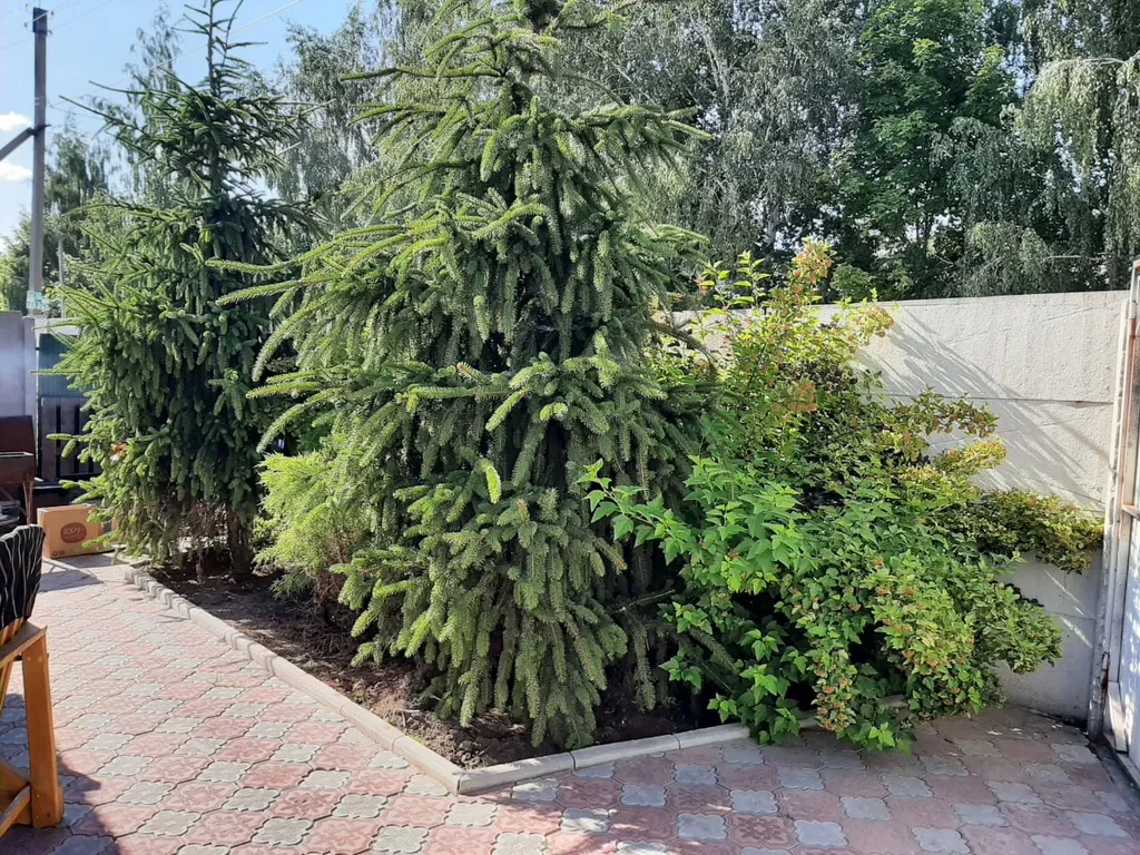 Усадьба Добрыня