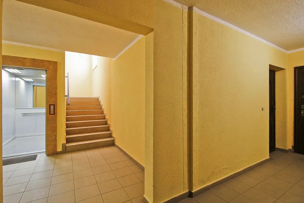 Квартира Квартира Солнечный кот — Зеленоградск