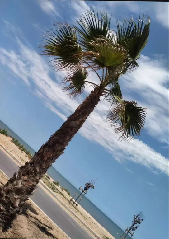 Квартира Квартира с великолепным видом на море — Махачкала