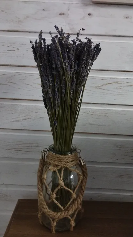 Коттедж Домик с баней у Гатчинского дворца и парка — Гатчина