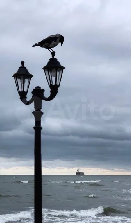 Квартира у моря с лучшей локацией