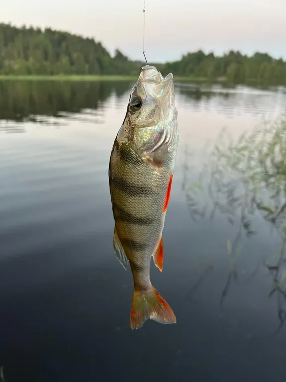 Коттедж на берегу озера