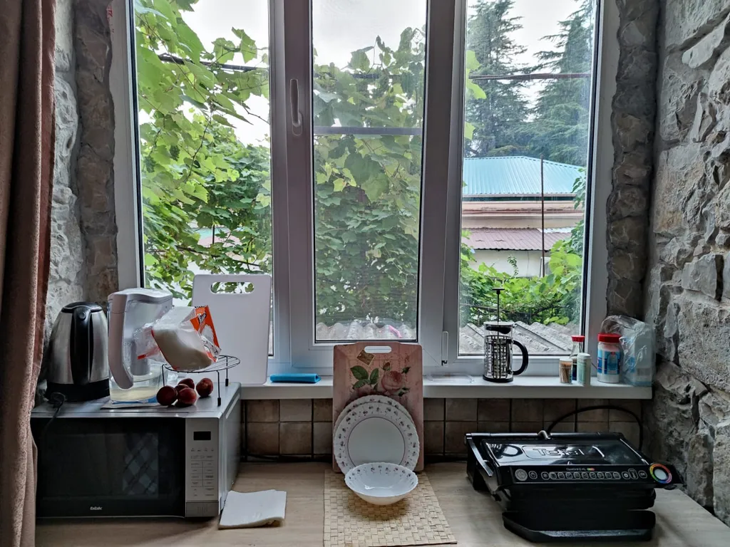 Квартира на берегу моря в Старой Гагре — аренда посуточно в Гагра