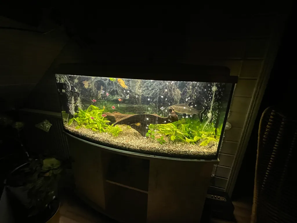 Пентхаус с собственной террасой "Скандинавия"