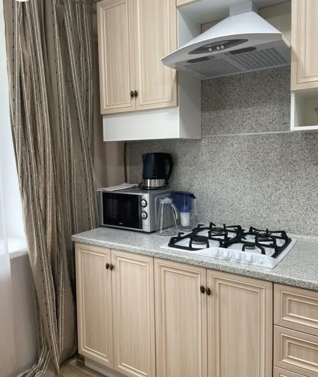 Уютная квартира у курорта Завидово