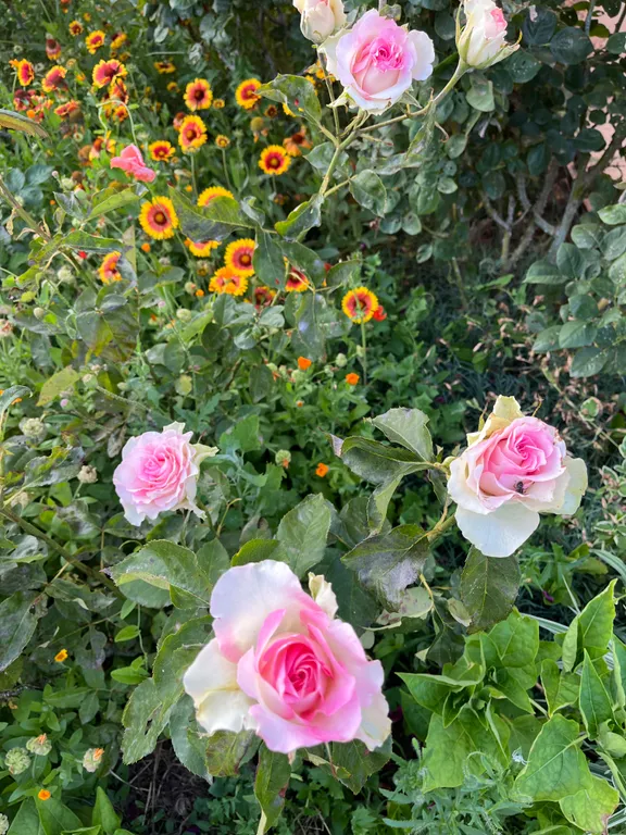 Тихий райский уголок