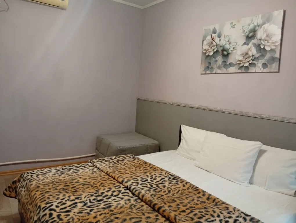 с одной двуспальной или 2 односпальными кроватями и доп спальным мест