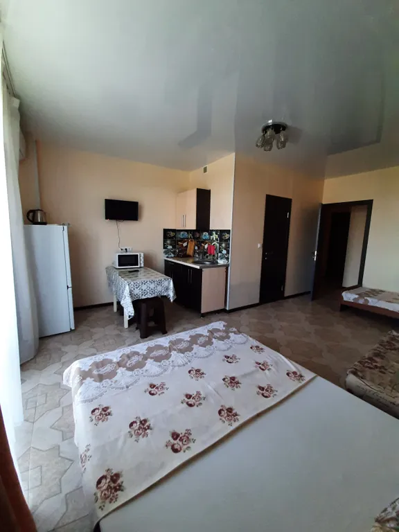 Студия со своей мини кухней