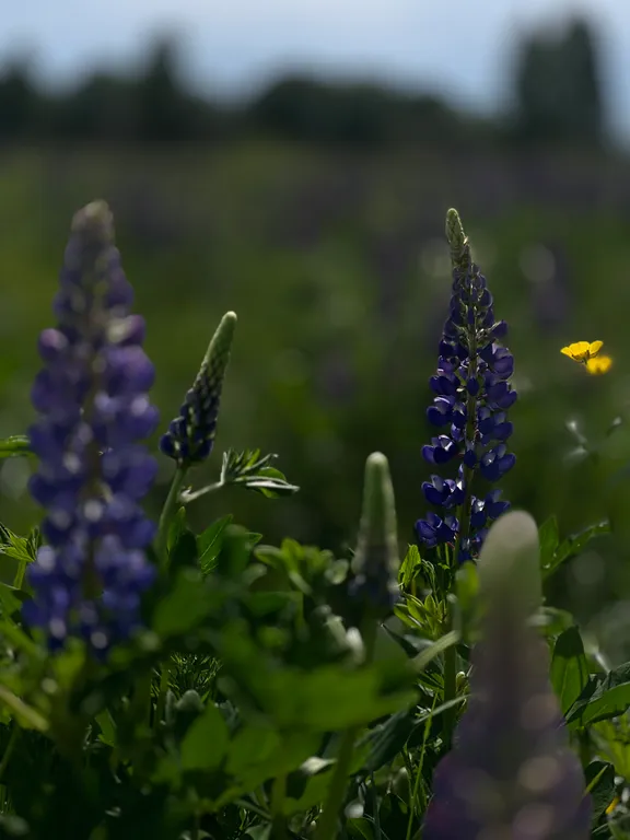 Уникальный дом на Святой Земле