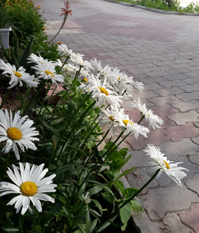 Дом двухкомнатный со всеми удобствами с отдельным двором