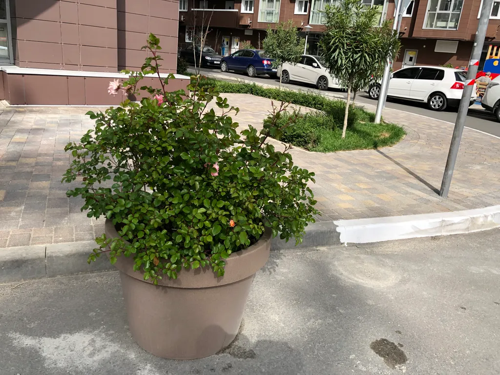 Квартира 2-комнатная Квартира — Сочи