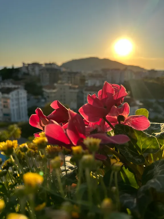Видовой апартамент на море в центре