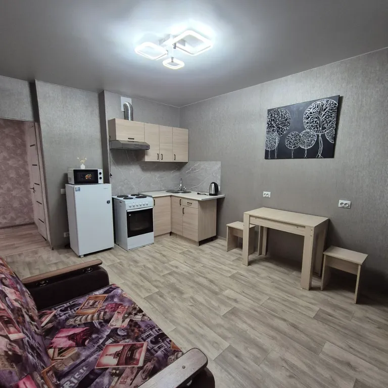 Комфортная квартира у Толмачево